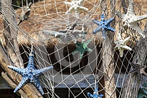Decorative background, Colorful oceanic background with a marine still life of spiny starfish hanging in a fishing net