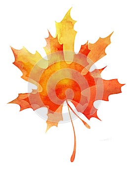 Decorative background. Multilayer autumn maple leaf. Orange-yellow gradient. Abstract watercolor fill. Hand drawn