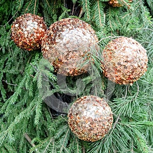 Decorative balls on the Christmas tree