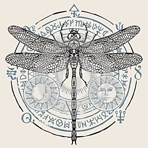 Decorative banner with a hand drawn dragonfly
