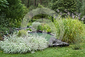 Decorative beautifully arranged pond photo