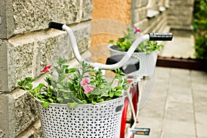 Decorative bike with flower baskets near the vintage building