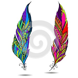 Decorative bird feather.