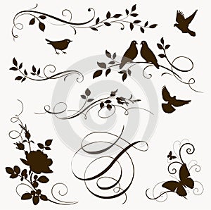 Decorative bird and tree branch silhouettes for page decor