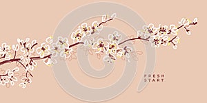 Decorative blossom branch with tender white flowers