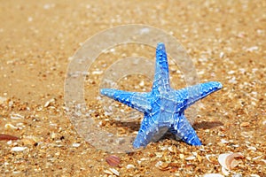 Decorative blue starfish on the sea beach