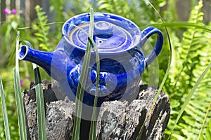 Decorative blue teapot used as garden ornament on tree stump