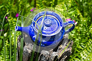 Decorative blue teapot used as garden ornament on tree stump