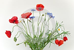 Decorative bouquet with wildflowers