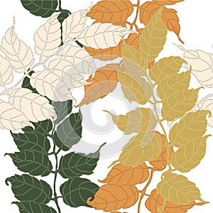 Decorative branch with leaves. Autumn seamless pattern. Vector illustration.