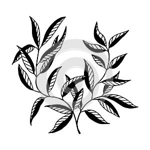 Decorative branch with leaves. Vector stock illustration eps10. Outline, isolate on white background. Hand drawn.