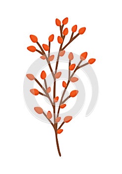 Decorative branch with red ilex berries. Design for postcard, poster, ad, decor, fabric and other uses. Vector isolated