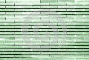 Decorative brick wall in green tone