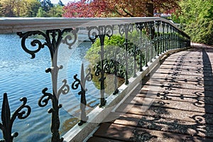 Decorative bridge in The Loo park