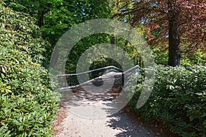 Decorative bridge in The Loo park