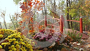 Decorative bridge in the park