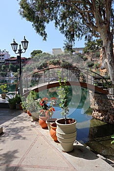Decorative bridge and plants in pots. Landscape