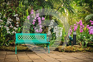 Decorative bright blue bench on concrete brick floor with beautiful orchid flowers and green garden background. Peaceful garden d