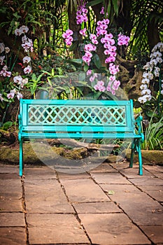 Decorative bright blue bench on concrete brick floor with beautiful orchid flowers and green garden background. Peaceful garden d