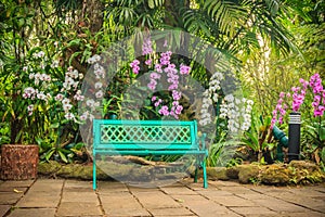 Decorative bright blue bench on concrete brick floor with beautiful orchid flowers and green garden background. Peaceful garden d