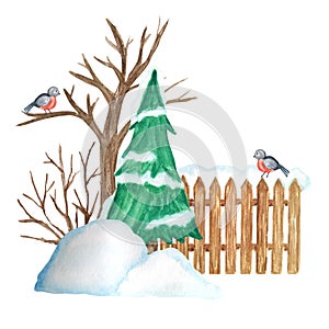 Decorative brown wooden fence in winter with snow, Christmas tree and Bullfinch bird couple and snowdrifts. Front view