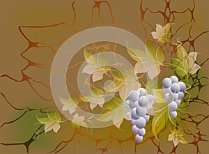 Decorative bunches of grapes and leaves on autumn background in yellow and orange shades. EPS10 vector illustration