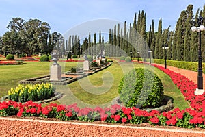 Decorative bushes trimmed and shaped flowers planted