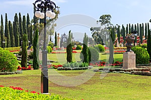 Decorative bushes trimmed and shaped flowers planted