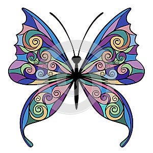 Decorative butterfly with colorful wings in flat linear style isolated on white isolated on white