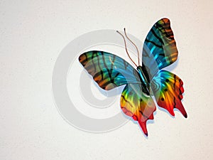 Decorative butterfly on wall