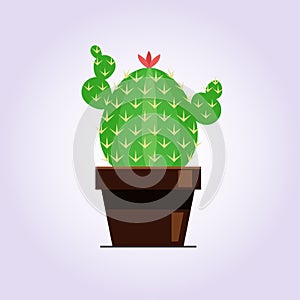 Decorative cactus with prickles on the white background. Home plant in pot. Flat style icon