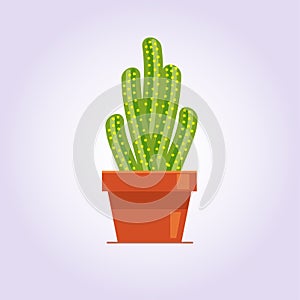 Decorative cactus with prickles on the white background. Home plant in pot. Flat style icon