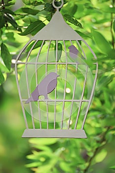 Decorative cage silhouette with birds cut from cardboard among the branches