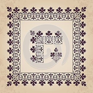 Decorative calligraphic ornamental corner and border elements with frame in vintage style