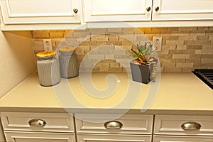 Decorative Canisters And Plant On Kitchen Counter