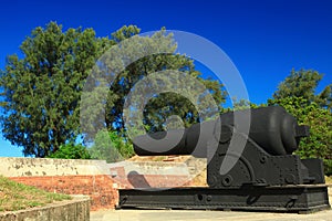 Decorative Cannon of Eternal Golden Castle