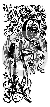 Decorative Letter C with Angel Holding Vine, vintage illustration