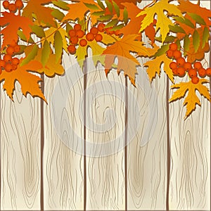 Decorative card with branch of rowanberry