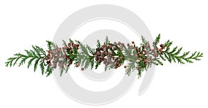 Decorative Cedar Cypress Arborvitae Leaf Sprigs