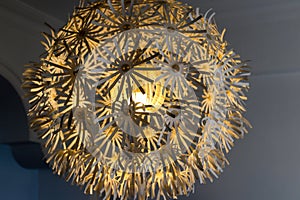 Decorative ceiling lamp