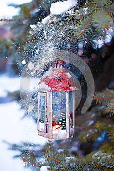 Decorative Christmas lantern on fir branch in snow