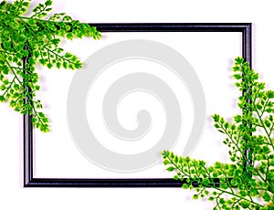 Decorative composition, black photo frame on a white background, branches with leaves. Flat lay, top view, copy space