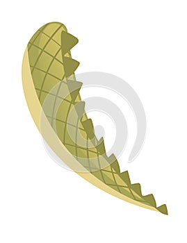 Decorative crocodile tail cartoon animal tail design vector illustration isolated on white background