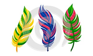 Decorative Curved Feathers as Avian Plumage Vector Set