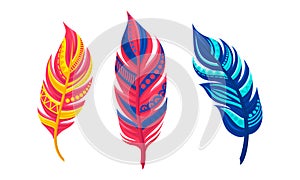 Decorative Curved Feathers as Avian Plumage Vector Set