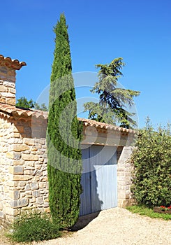 Decorative cypress in front of a provencal stone building.