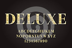 Decorative deluxe Font and Alphabet vector