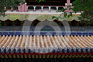 Decorative details in Forbidden City, 2018