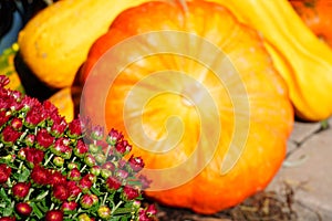 Decorative display of pumpkins, squashes and mum flowers in the fall