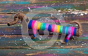 Decorative dog breed Dachshund